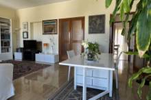 AFFITTO TRANSITORIO APPARTAMENTO PESARO - ZONA CENTRO-MARE (P5-73)