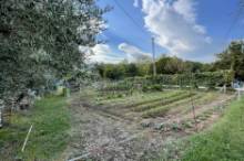 Vendita terreno agricolo da orto Pesaro - Zona Case Bruciate (TE350)