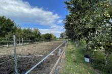 Vendita terreno agricolo da orto Pesaro - Zona Case Bruciate (TE350)