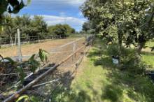 Vendita terreno agricolo da orto Pesaro - Zona Case Bruciate (TE350)