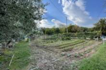 Vendita terreno agricolo da orto Pesaro - Zona Case Bruciate (TE350)