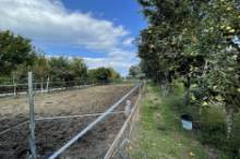 Vendita terreno agricolo da orto Pesaro - Zona Case Bruciate (TE350)