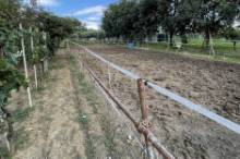 Vendita terreno agricolo da orto Pesaro - Zona Case Bruciate (TE350)