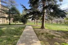 Vendita ampio appartamento con box auto Pesaro - Zona Cinque Torri (AP932)